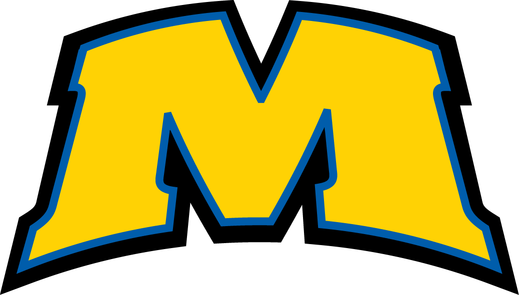 Morehead State Eagles 2005-Pres Alternate Logo v3 diy iron on heat transfer